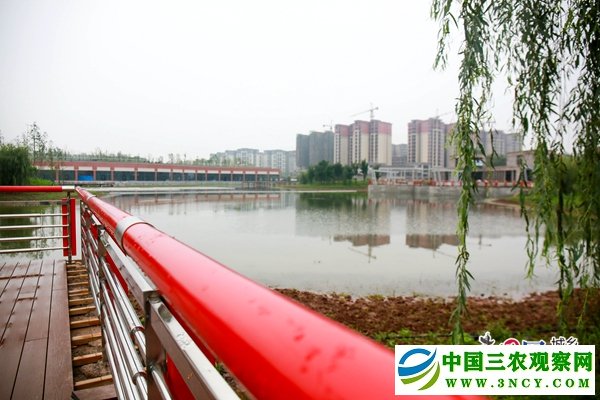 公园初具雏形.jpg
