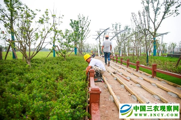 施工人员正在抓紧施工.jpg