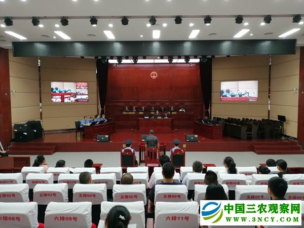 1560224519101533.jpg 庭审现场(摄影 赵晨希).jpg