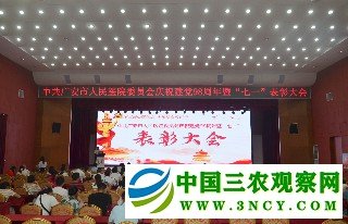 庆祝表彰会会场.jpg