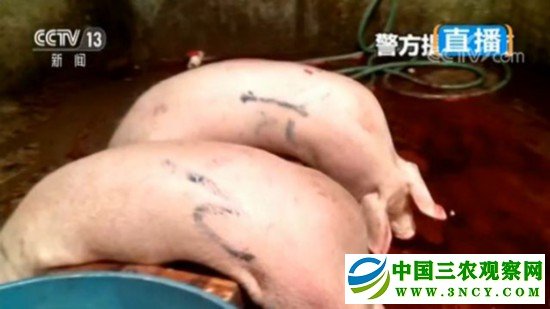 【央视关注】一年间 那些大家关心的热点建议和提案如何了？