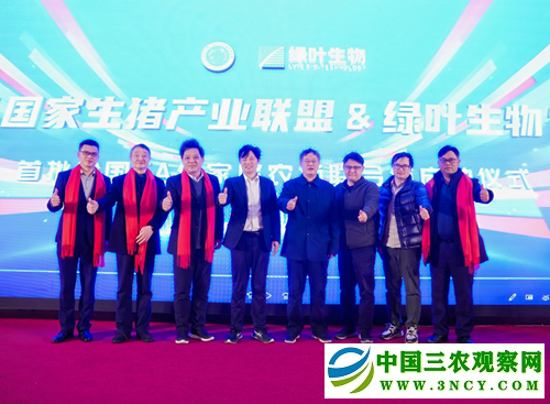 16572560373964047_5.png 16572560373964047_5.png