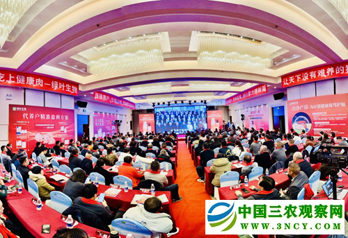 12500825339163850_5.png 12500825339163850_5.png