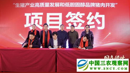 12523595657025667_5.png 12523595657025667_5.png