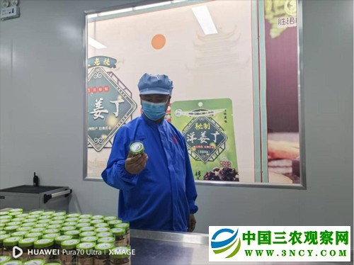 京南第一府河间酱菜产业焕发新生机(图8) 京南第一府河间酱菜产业焕发新生机(图8)