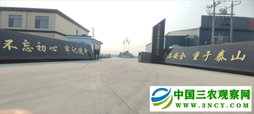 京南第一府河间酱菜产业焕发新生机(图1) 京南第一府河间酱菜产业焕发新生机(图1)