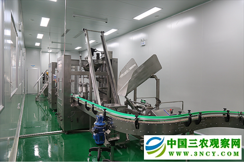 京南第一府河间酱菜产业焕发新生机(图5) 京南第一府河间酱菜产业焕发新生机(图5)