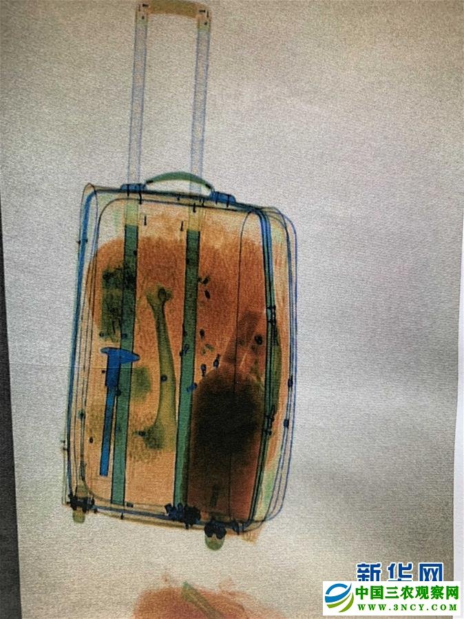 (图文互动)(2)黑龙江一男子走私虎骨被判5年